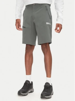 Jack Wolfskin Szorty sportowe Pico Trail A63908 Zielony Regular Fit
