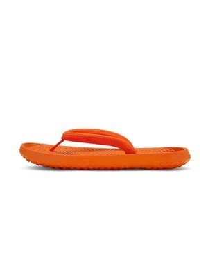Japonki Allbirds