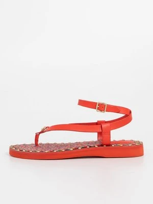 Japonki Coach