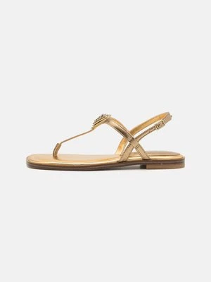 Japonki Guess
