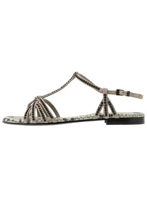 Japonki Kennel + Schmenger