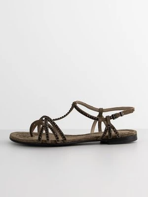 Japonki Kennel + Schmenger