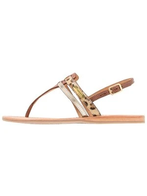 Japonki Les Tropeziennes par M Belarbi