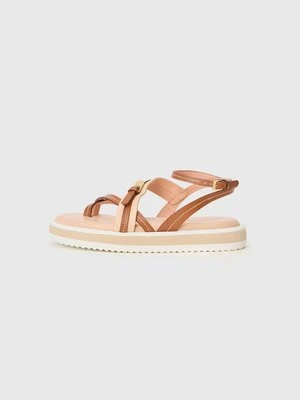 Japonki Pollini