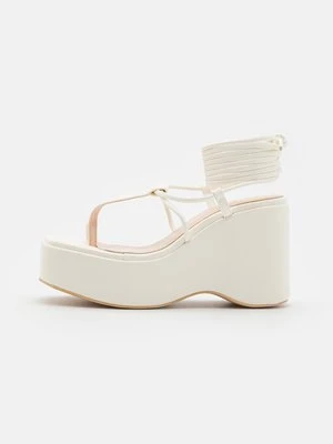 Zdjęcie produktu Japonki Raid