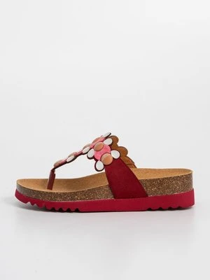 Japonki Scholl