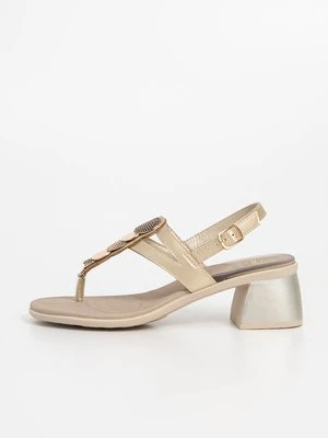 Japonki Scholl