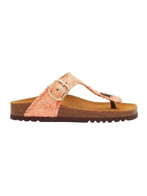 Japonki Scholl