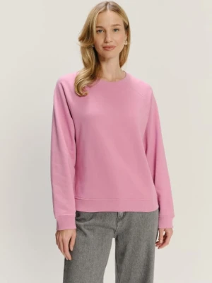 Jasnofioletowa bluza basic Greenpoint