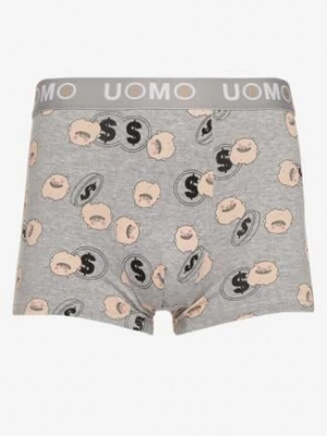 Jasnoszare Bawełniane Majtki Bokserki z Napisem i Szeroką Gumką Nelicia