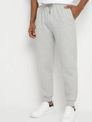 Jasnoszare Spodnie Dresowe ze Ściągaczami z Bawełną Paladira glo-story