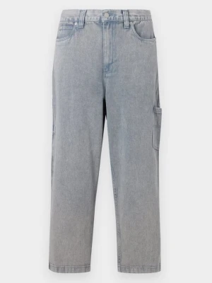 Jeansy Relaxed Fit Santa Cruz szary