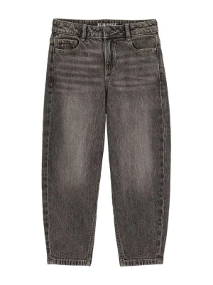 Jeansy Relaxed Fit WE Fashion szary