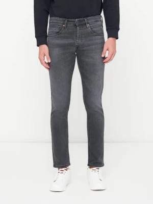 Jeansy Slim Fit Replay szary