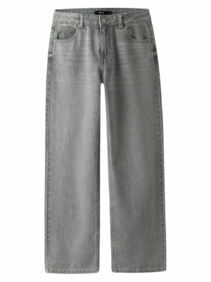 Jeansy Straight Leg LMTD