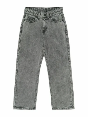 Jeansy Straight Leg The NEW szary