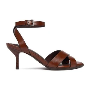 Jenny CEO-LS6497-01 Brązowy