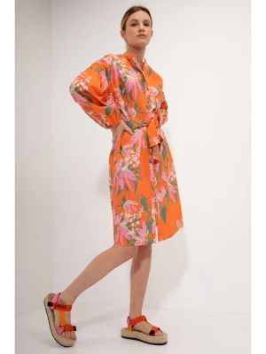 Josephine & Co Sukienka "Geike" w kolorze pomarańczowym rozmiar: 40