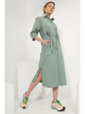 Josephine & Co Sukienka "Gezina" w kolorze zielonym rozmiar: 34