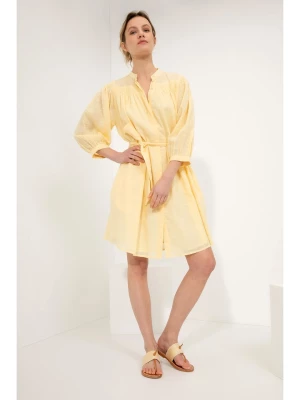 Josephine & Co Sukienka "Gracy" w kolorze żółtym rozmiar: 36