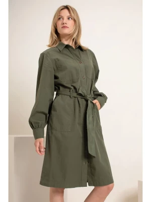 Josephine & Co Sukienka w kolorze khaki rozmiar: 44