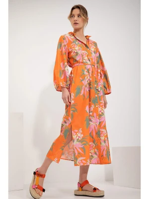 Josephine & Co Sukienka w kolorze pomarańczowym rozmiar: 36