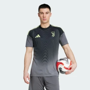 Juventus 25 / 26 Home Goalkeeper Jersey Adidas Grey Five