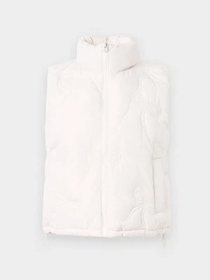 Kamizelka Hollister Co.