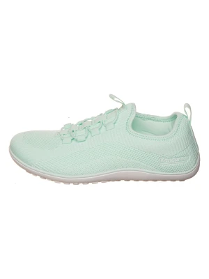 Kangaroos Slippersy "K-BF Bole" w kolorze zielonym rozmiar: 42