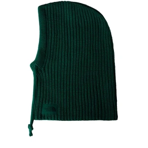 Kaptur The North Face Urban Lifestyle 0A88QZNL11 - zielony