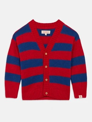 Kardigan THE ANIMALS OBSERVATORY