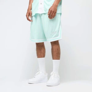 Karl Kani Small Varsity Logo Pinstripe Mesh Shorts mężczyźni Szorty sportowe niebieski rozmiar Odzież