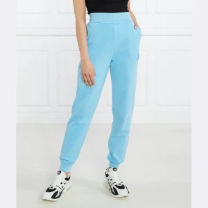 Karl Lagerfeld Spodnie dresowe ikonik 2.0 tonal | Regular Fit