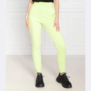Karl Lagerfeld Spodnie dresowe ikonik 2.0 tonal | Regular Fit