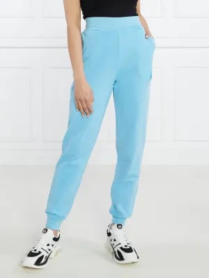 Karl Lagerfeld Spodnie dresowe ikonik 2.0 tonal | Regular Fit