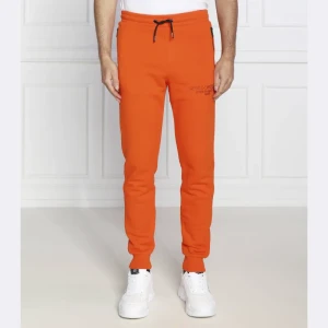 Karl Lagerfeld Spodnie | Regular Fit