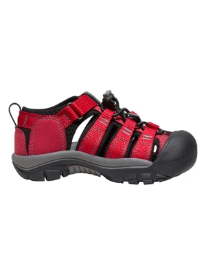 Keen Sandały turystyczne "Newport H2" w kolorze czerwonym rozmiar: 25 / 26
