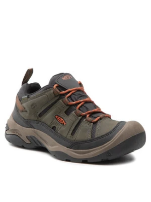 Keen Trekkingi Circadia Wp 1026774 Zielony