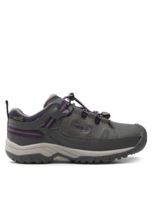 Keen Trekkingi Targhee Low Wp 1026295 Szary
