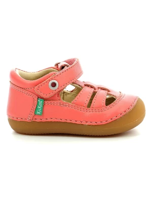 Kickers Skórzane buty "Sushy" w kolorze różowym do nauki chodzenia rozmiar: 22