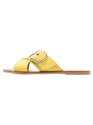 Klapki płaskie Dorothy Perkins