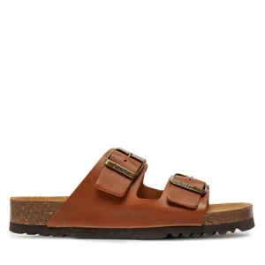 Klapki Scholl Julien F30076 Brązowy