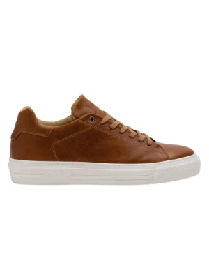 Klasyczny Cognac Sneaker JoDis