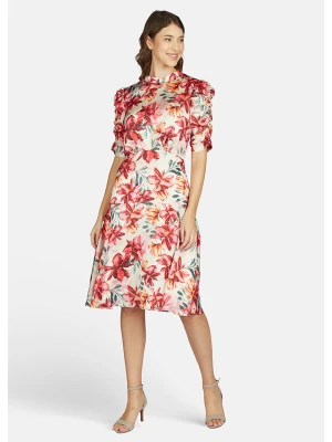 Kleo Sukienka w kolorze czerwonym rozmiar: 44