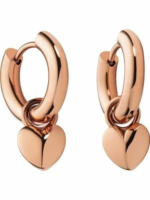 Kolczyki Paul Hewitt