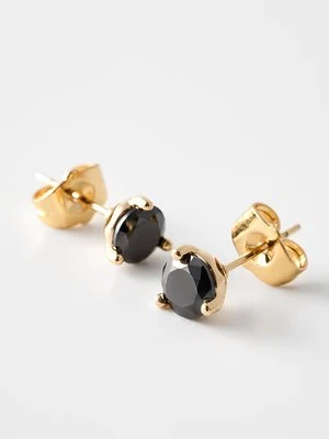 Kolczyki U.S. Polo Assn.