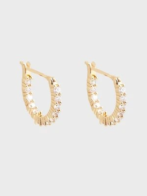 Kolczyki U.S. Polo Assn.