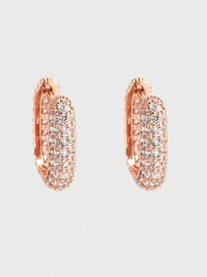 Kolczyki U.S. Polo Assn.