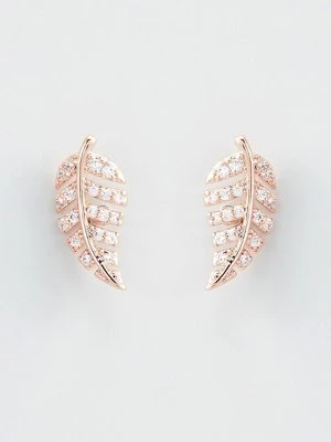 Kolczyki U.S. Polo Assn.