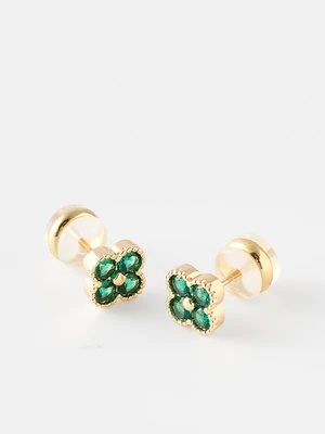 Kolczyki U.S. Polo Assn.